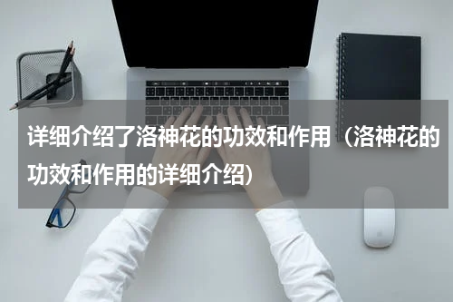 详细介绍了洛神花的功效和作用（洛神花的功效和作用的详细介绍）