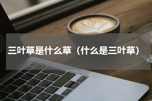 三叶草是什么草（什么是三叶草）