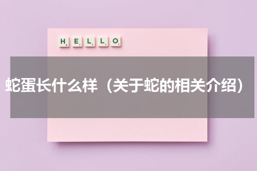 蛇蛋长什么样（关于蛇的相关介绍）