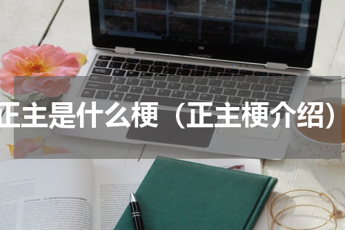 正主是什么梗（正主梗介绍）
