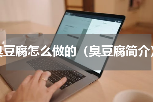 臭豆腐怎么做的（臭豆腐简介）