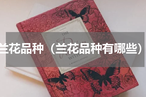兰花品种（兰花品种有哪些）