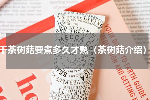干茶树菇要煮多久才熟（茶树菇介绍）