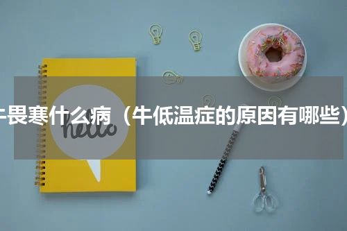 牛畏寒什么病（牛低温症的原因有哪些）