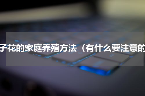 栀子花的家庭养殖方法（有什么要注意的）