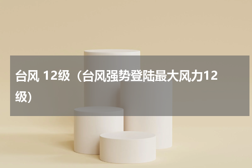 台风 12级（台风强势登陆最大风力12级）