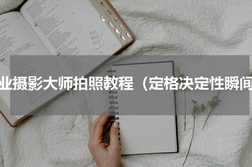 专业摄影大师拍照教程（定格决定性瞬间）