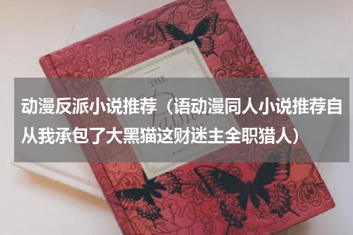 动漫反派小说推荐（语动漫同人小说推荐自从我承包了大黑猫这财迷主全职猎人）