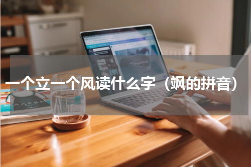 一个立一个风读什么字（飒的拼音）