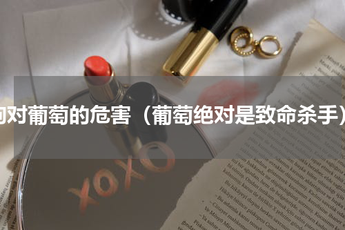 狗对葡萄的危害（葡萄绝对是致命杀手）