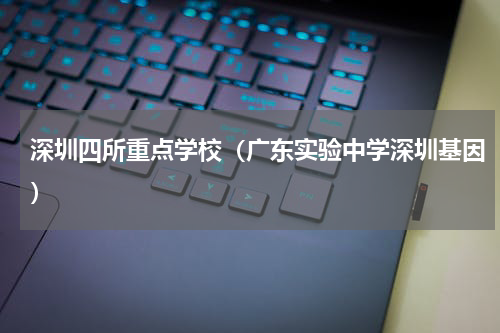 深圳四所重点学校（广东实验中学深圳基因）