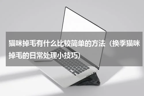猫咪掉毛有什么比较简单的方法（换季猫咪掉毛的日常处理小技巧）