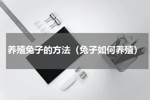 养殖兔子的方法（兔子如何养殖）