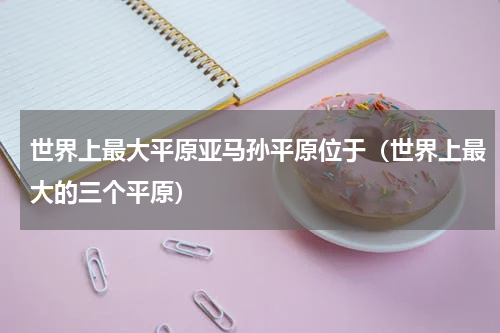 世界上最大平原亚马孙平原位于（世界上最大的三个平原）