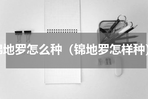 锦地罗怎么种（锦地罗怎样种）