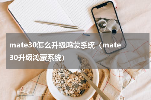 mate30怎么升级鸿蒙系统（mate30升级鸿蒙系统）