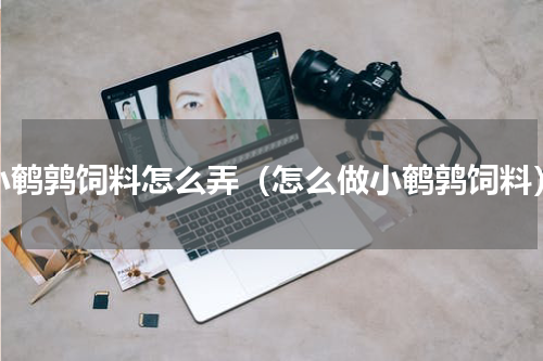 小鹌鹑饲料怎么弄（怎么做小鹌鹑饲料）