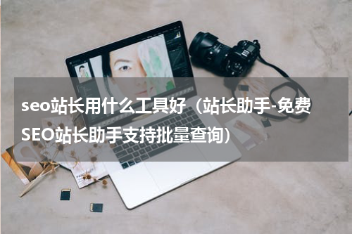 seo站长用什么工具好（站长助手-免费SEO站长助手支持批量查询）