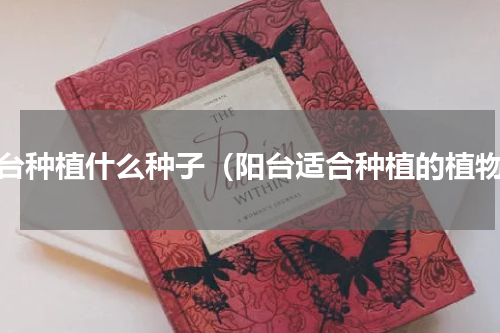阳台种植什么种子（阳台适合种植的植物）