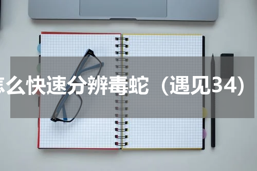怎么快速分辨毒蛇（遇见34）