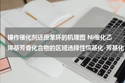 镍作催化剂还原苯环的机理图 Ni催化乙烯基芳香化合物的区域选择性烷基化-芳基化