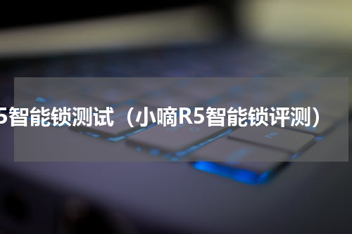 r5智能锁测试（小嘀R5智能锁评测）