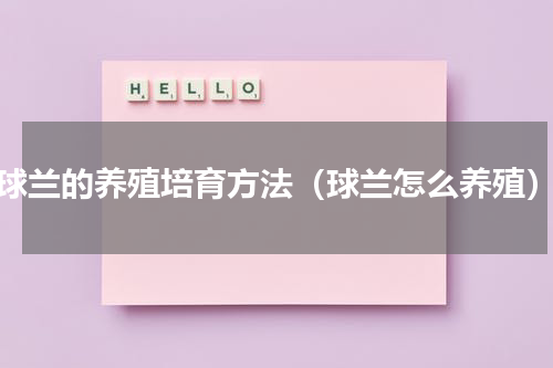 球兰的养殖培育方法（球兰怎么养殖）