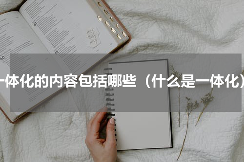 一体化的内容包括哪些（什么是一体化）