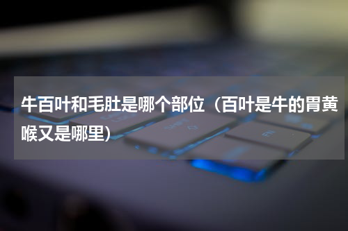 牛百叶和毛肚是哪个部位（百叶是牛的胃黄喉又是哪里）