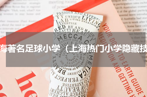 上海著名足球小学（上海热门小学隐藏技）