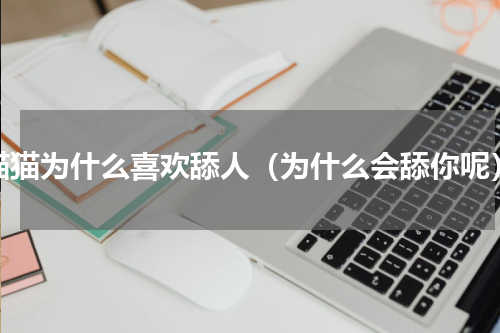 猫猫为什么喜欢舔人（为什么会舔你呢）
