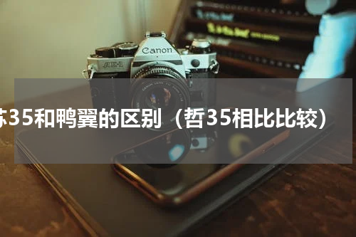 苏35和鸭翼的区别（哲35相比比较）
