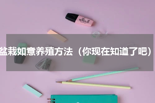 盆栽如意养殖方法（你现在知道了吧）