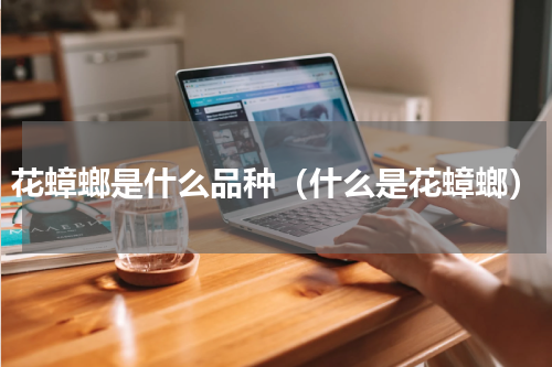 花蟑螂是什么品种（什么是花蟑螂）