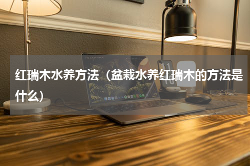 红瑞木水养方法（盆栽水养红瑞木的方法是什么）