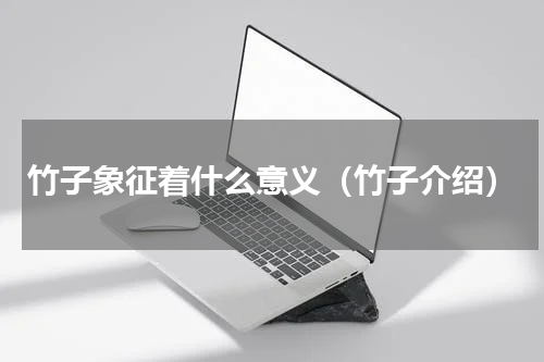 竹子象征着什么意义（竹子介绍）