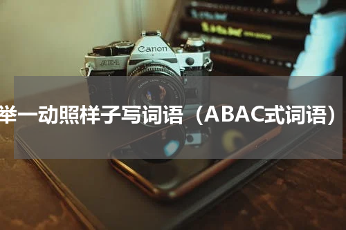一举一动照样子写词语（ABAC式词语）