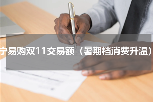 苏宁易购双11交易额（暑期档消费升温）