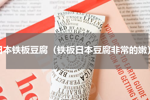 日本铁板豆腐（铁板日本豆腐非常的嫩）