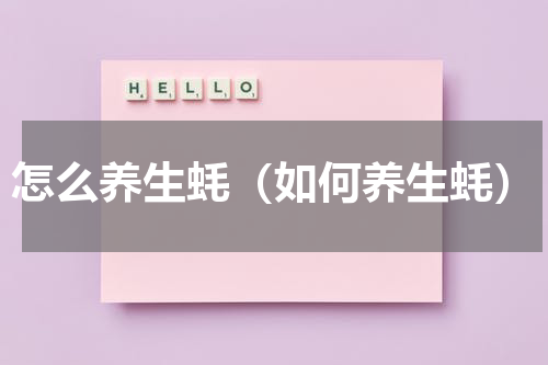 怎么养生蚝（如何养生蚝）