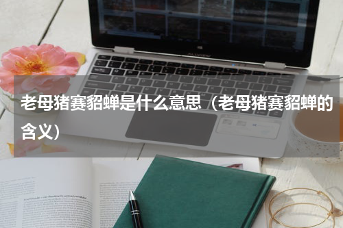老母猪赛貂蝉是什么意思（老母猪赛貂蝉的含义）