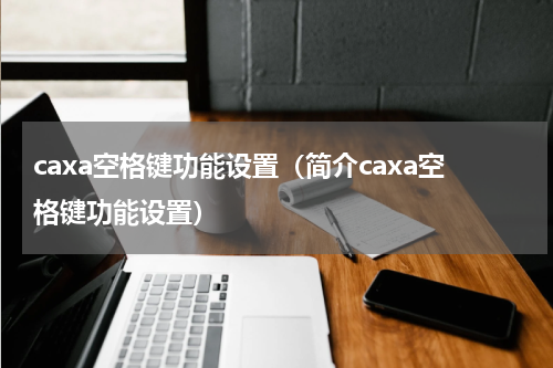 caxa空格键功能设置（简介caxa空格键功能设置）