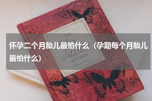 怀孕二个月胎儿最怕什么（孕期每个月胎儿最怕什么）