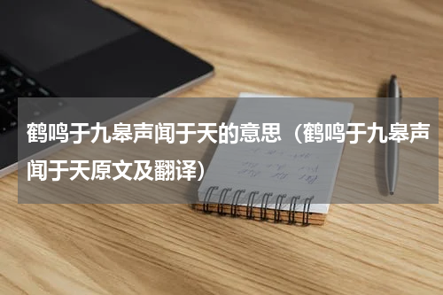 鹤鸣于九皋声闻于天的意思（鹤鸣于九皋声闻于天原文及翻译）