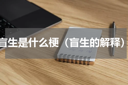 盲生是什么梗（盲生的解释）