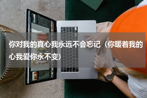 你对我的真心我永远不会忘记（你暖着我的心我爱你永不变）