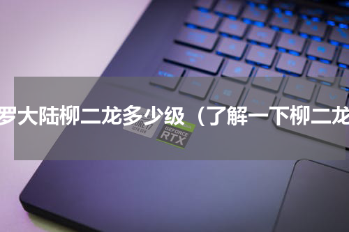 斗罗大陆柳二龙多少级（了解一下柳二龙）