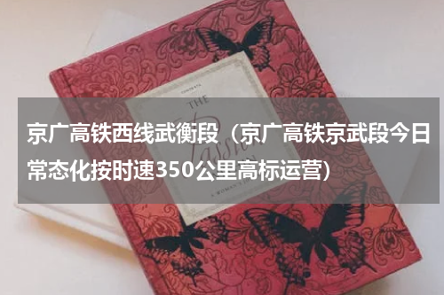 京广高铁西线武衡段（京广高铁京武段今日常态化按时速350公里高标运营）