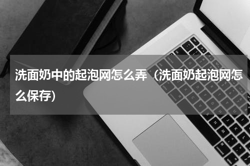 洗面奶中的起泡网怎么弄（洗面奶起泡网怎么保存）