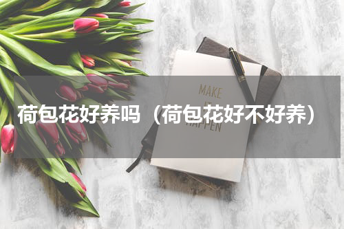 荷包花好养吗（荷包花好不好养）